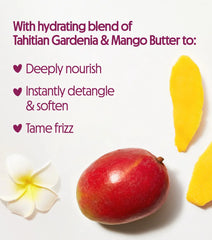 Curl Definition Conditioner